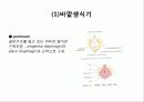 TVH (질식자궁절제술 :Total vaginal hysterectomy) 5페이지