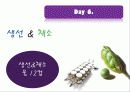 다이어트(Diet), 제대로 알고있니? 13페이지
