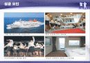 크루즈(Cruise) 관광 산업 13페이지