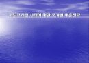 서브프라임 사태에 대한 국가별 대응전략 1페이지