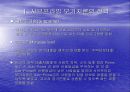 서브프라임 사태에 대한 국가별 대응전략 3페이지