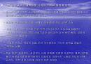 서브프라임 사태에 대한 국가별 대응전략 7페이지