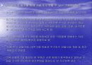 서브프라임 사태에 대한 국가별 대응전략 8페이지