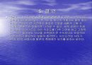 서브프라임 사태에 대한 국가별 대응전략 10페이지