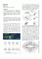 동물발생학 정리_kw 31페이지