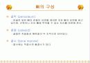 뼈의 구조와 강도 - 뼈의 기능, 구조, 구성, 강도 8페이지