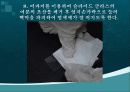 초파리 32페이지