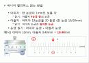 휘스톤브릿지 (Wheatstone Bridge) - Wheatstone Bridge의 원리와 구조를 이해하고, 이를 이용하여 미지의 전기저항을 측정 7페이지