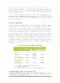 [★★녹색성장의 필요성과 전망★★] 녹색성장의 개념과 필요성 및 한국의 녹색성장전략의 문제점과 대안 및 외국의 사례 25페이지