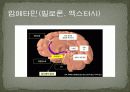 뇌와인지-마약과뇌 15페이지