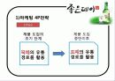 성공사례분석 23페이지