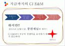 [영상산업의 이해] CJ E&M의 미디어 사업 22페이지