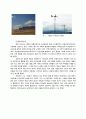 [★우수레포트★][국제적 환경 문제 해결방안] 세계 환경위기의 현황과 문제점 및 몽골의 환경위기 대응 사례 분석 9페이지