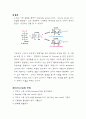 베네딕트, 바포드 반응 5페이지