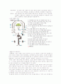 답사 보고서) 태강릉 3페이지