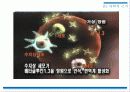 암,식이요법,항암식품,차가버섯,마케팅,브랜드,브랜드마케팅,기업,서비스마케팅,글로벌,경영,시장 18페이지