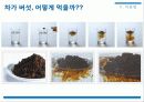 암,식이요법,항암식품,차가버섯,마케팅,브랜드,브랜드마케팅,기업,서비스마케팅,글로벌,경영,시장 23페이지