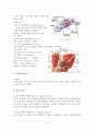 탈장(hernia)과 탈장교정술(Herniorrhaphy)  8페이지