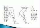 정상보행과 이상보행 42페이지