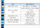 초등학교 교과서와 관련된 아동도서의 어문 규범 준수 실태 조사 2페이지