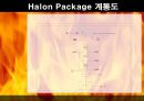 [A+] 하론패키지(Halon package) 조사보고서  소화가스실린더 소방방재  화재설비  소방설비  소화설비  Halon 약제  Halon 솔레노이드  설치장소  설치도  구성요소  장점 13페이지