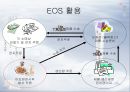 유통관리,아모래퍼시픽,마케팅,브랜드,브랜드마케팅,기업,서비스마케팅,글로벌,경영,시장,사례,swot,stp,4p 12페이지