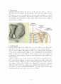 회전근개파열(Rotator cuff rupture)과 수술간호 3페이지