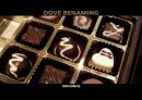 DOVE RENAMING -도브초콜릿,도브기업분석,초콜릿시장,마케팅,브랜드,브랜드마케팅,기업,서비스마케팅,글로벌,경영,시장,사례,swot,stp,4p.PPT자료 1페이지