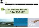 Fly Incheon; 섬을 이용한 인천시의 그린마케팅 (그린마케팅사례,그린마케팅분석,인천시그린마케팅,관광마케팅).PPT자료 18페이지