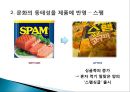 문화의동태성,문화동태성,문화동태성과광고 5페이지