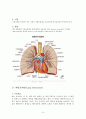 폐엽절제술(lung lobectomy)과 수술 후 간호 6페이지