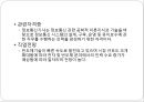 직업포트폴리오 10페이지