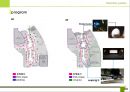 [건축 디자인 설계] MXD 사례조사 - 일본 오사카, 남바파크 (なんばパークス/Namba Parks).ppt 20페이지