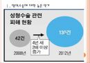 [성형문화,성형중독] 성형수술로 인한 문제점과 해결방안 PPT자료 3페이지