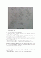 그람염색(Gram`s stain) 결과 레포트(예비내용 포함) 입니다. 5페이지