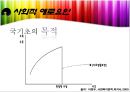 사회복지정책론 (국민기초생활보장제도.) 13페이지