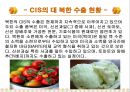 북한의 음식문화(북한의이해-남한과비교) 85페이지