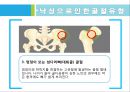 [정보학] 보건교육자료 ‘낙상’ - 겨울철 노인 낙상 예방교육.pptx 8페이지