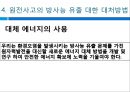 핵문제 - 핵에 따른 인간생활의 환경적문제 24페이지