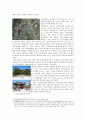 [한국 건축물 답사] 영암향교답사 보고서 - 영암향교(靈巖鄕校)를 다녀와서... 3페이지