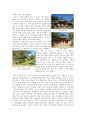 [한국 건축물 답사] 영암향교답사 보고서 - 영암향교(靈巖鄕校)를 다녀와서... 5페이지