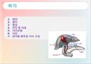 담석증의 식사요법, 증상, 진단, 담석증 케이스 스터디 Case Study.ppt 2페이지