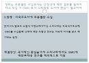 GMO 식품의 수입-유전자재조합생물체,GMO 농산물,GMO 동물,GMO 미생물,GMO 표시 의무화및 소비자 관심,미국주도하에 무분별한 수입 15페이지