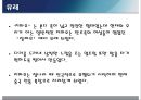 [전통의상] 네덜란드의 전통의상, 중국의 전통의상, 한국의 전통의상, 세계의 전통 혼례복.pptx 11페이지