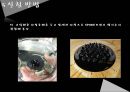 나노물질 및 실험 자성유체 Synthesis of Aqueous Ferrofluid : 액체자석인  Aqueous Ferrofluid를 합성해보고 그 합성물질의 성질 및 특성을 알아본다.pptx 28페이지