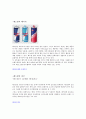 레드불(Red Bull)의 브랜드 구성요소 2페이지