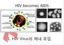 [HIV와 AIDS] AIDS 후천성 면역결핍증 - AIDS의 개념, 에이즈 원인, 에이즈 치료, 에이즈에 대한 편견과 예방법.pptx 6페이지