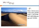 [물의 과학 주제발표과제] 사막의 물 {갈증, 사막, 선인장, 오아시스}.pptx 5페이지