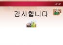 조세 부과 처분 취소 사건 16페이지