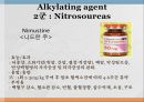 항암제, 항암제에 대한 이해, 알킬화제, 대사저하제, 항새제로서 항암제, Vinca Alkaloids, Hormone, Hormone의길항제, 기타항암 20페이지